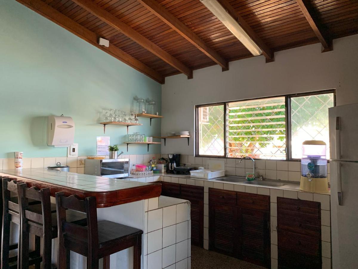 Hostal My Green House ليبيريا المظهر الخارجي الصورة
